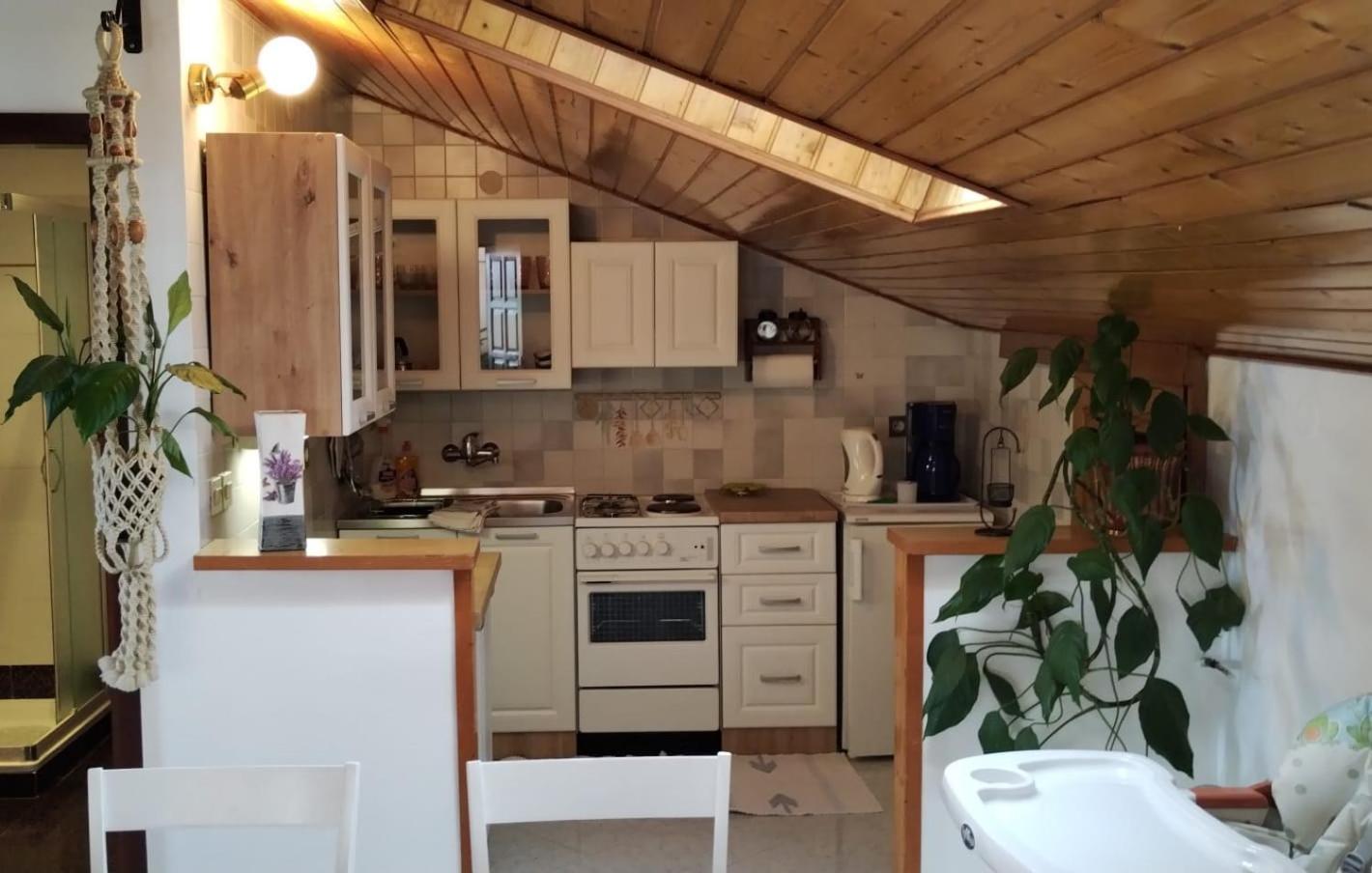 Apartment Gaudeamus ウマグ エクステリア 写真